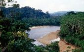La Amazonía ecuatoriana comprende las provincias ecuatorianas de Sucumbíos, Orellana, Napo, Pastaza, Morona Santiago y Zamora Chinchipe.