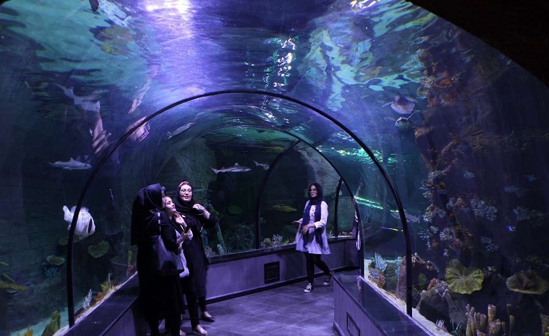 Las instalaciones también cuentan con inmensos túneles acuáticos y un serpentario con distintas especies de reptiles.