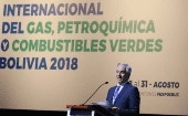 En los últimos 12 años Bolivia ha hecho esfuerzos grandes por nacionalizar los hidrocarburos, rubros fundamentales en el  crecimiento de la economía boliviana.