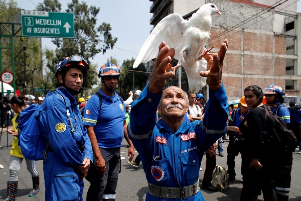 A rescue volunteer releases a white dove near a building that collapsed during the earthquake in Mexico City.