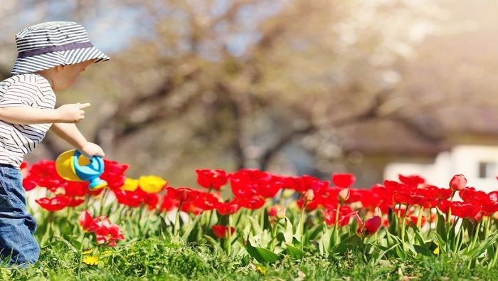 La conjuntivitis y la rinitis son las afecciones más comunes por la llegada de la primavera.