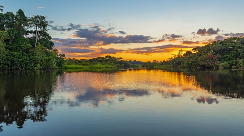La Amazonia se encuentra en peligro en medio del cambio climático. El ecosistema tropical que constituye la reserva mundial más grande de especies animales y vegetales se está extinguiendo poco a poco. Se cree que la selva amazónica sobreviva el siglo XXI si las emisiones de CO2 se reducen y la temperatura planetaria se estabilice entre 1.1 y 2.6ºC.