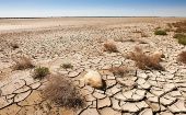 La desertificación representa la degradación y deterioro ecológico de suelos fértiles y productivos, en términos del potencial biológico.
