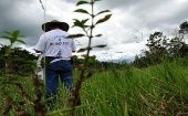 Al menos 24 activistas ambientales fueron asesinados en Colombia durante 2018.