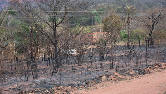 El gobierno asegura que el fuego ha disminuido en 70 por ciento en el municipio Roboré en Santa Cruz.