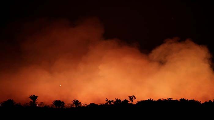 En lo que va de año en Brasil se han registrado 78.383 incendios forestales, el peor número para ese período desde 2013, lo que los expertos atribuyen al avance de la deforestación.