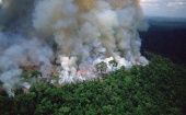 El fuego ya ha consumido 74 mil hectáreas de selva en la región amazónica.