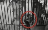 La arremetida de Carabineros fue grabada por una cámara de seguridad que si hizo viral en redes sociales.