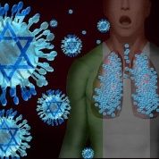 Virus Sion 48: Inmune a Advertencias y Resoluciones. (Parte I)