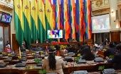 La intervención de la presidenta en la sesión solemne por el Día Nacional de Bolivia del Senado se hizo por video.