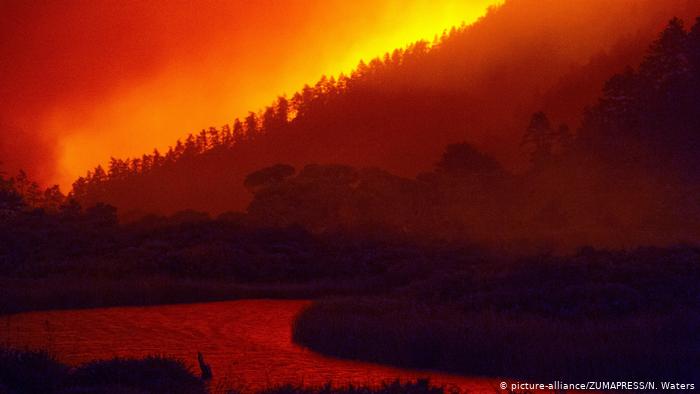 Los incendios forestales en California han tenido su origen en la ola de calor y tormentas de rayos que se han producido en las últimas semanas.