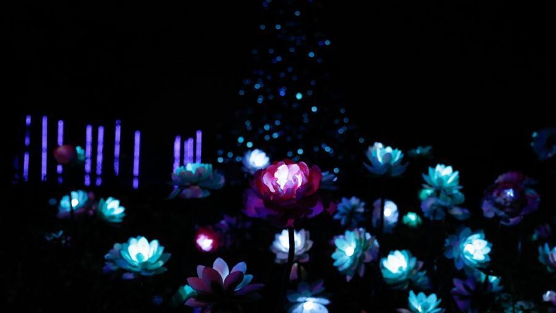 El objetivo del festival es recrear la naturaleza a través de luces coloridas, como pueden ser las flores en un jardían.