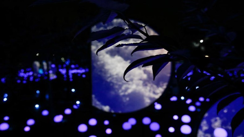 El contraste entre la luz de la Luna y las luces en un jardín hacen de este un espectáculo muy llamativo para los visitantes del evento.