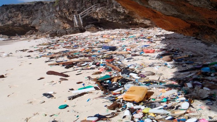 Una mirada al impacto de los desechos microplásticos en el mar