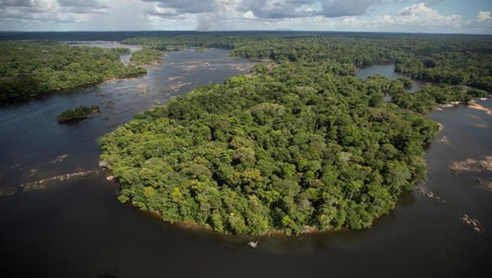 Países como Brasil, Colombia, Ecuador, y Perú, han ocupado la amazonia con el objetivo de explotar la tierra en el marco de exploraciones mineras.