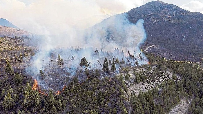 Autoridades de SPLIF advirtieron que las llamas fueron desatadas por las altas temperaturas y la sequía prolongada.