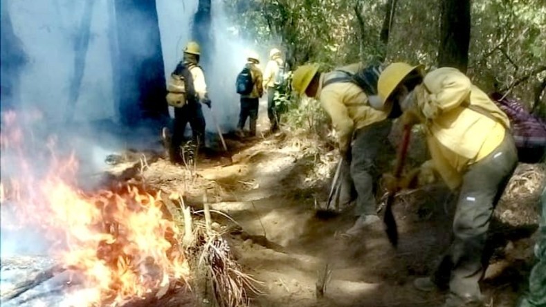 Hasta el momento los tres incendios forestales que se reportan en el estado mexicano de Morelos no se han cobrado la vida de ninguna persona.