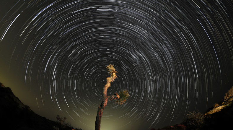 En el Parque Nacional Joshua Tree ubicado en California, Estados Unidos, se vio una hermosa perspectiva de la lluvia de meteoritos. Para presenciar esta actividad es indispensable contar con excelentes condiciones meteorológicas.