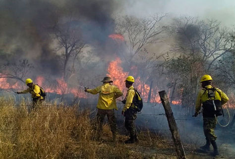 En el departamento de Santa Cruz se han producido el 67 por ciento de los incendios forestales.