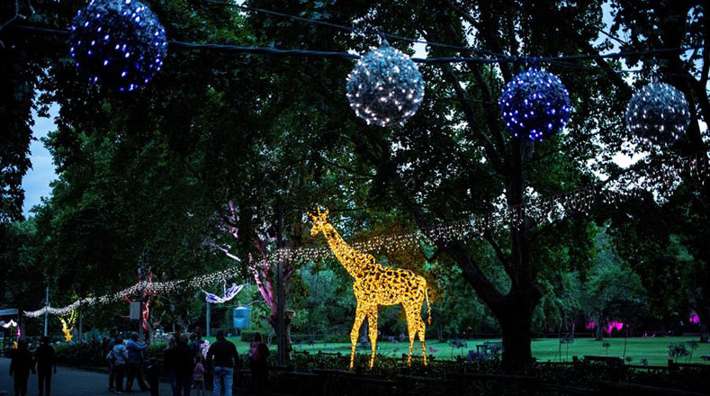 En los espacios del zoológico podrán encontrar diversas figuras de animales a escala real, iluminados con luces LED. Los organizadores del festival afirmaron que garantizarán la conservación y el bienestar de los animales para que estas luces no los incomoden.