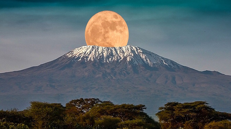 Kilimanjaro. Se hizo mundialmente famosa gracias a la película dirigida por Henry King en 1952, nombrada Las nieves del Kilimanjaro. Es el punto más alto de África con 5.895 metros.