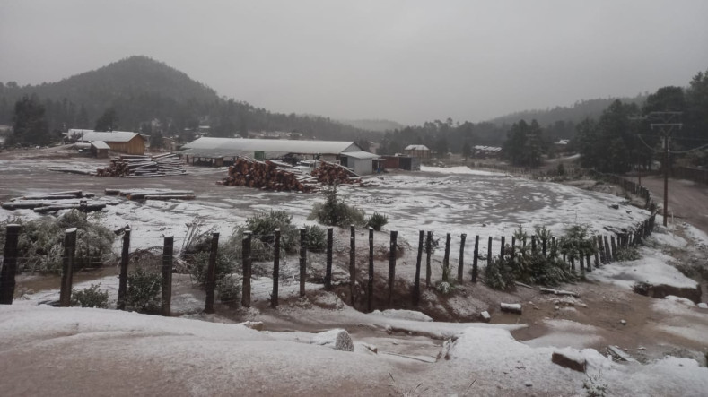 En otros siete municipios de Durango se registraron lluvias moderadas, mientras que otros dos tuvieron caída de agua nieve, todos sin afectaciones.