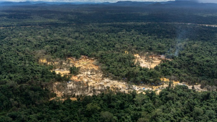 La deforestación en la Amazonía llegó a 13.235 km² en 2021, un aumento del 22 por ciento con respecto al año anterior, según estimaciones de las autoridades forestales.