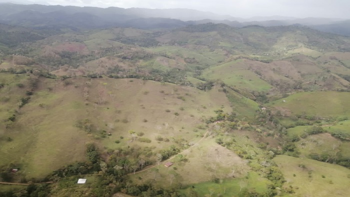 Medina detalló que se identificaron más de 200 mil hectáreas de bosque deforestadas en la biosfera de Río Plátano.