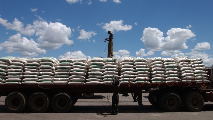 Los precios mundiales del trigo se dispararon un 19,7 por ciento durante el mes, exacerbados por la preocupación por las condiciones de los cultivos en los Estados Unidos.
