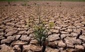 “La agricultura moderna ha alterado la faz del planeta más que cualquier otra actividad humana", adviritó el el secretario ejecutivo de la Unccd, Ibrahim Thiaw.