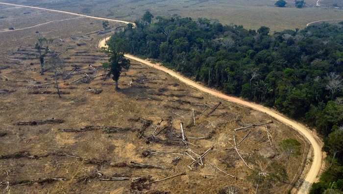 Los estados más afectados fueron Amazonas con 346,89 kilómetros cuadrados; Pará 241,92 kilómetros; Mato Grosso 286, 68 kilómetros y Rondonia 107,86.