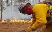 En la lucha contra los incendios laboran 84 combatientes del gobierno Municipal de Saltillo, Secretaría de la Defensa Nacional, brigadas rurales estatales, voluntarios, Gobierno del Estado De Coahuila y Conafor.