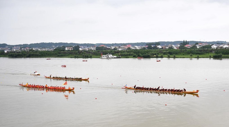 Los barcos de madera cuentan con decoración en forma de dragón chino, mientras que el tamaño varía según la región, de 20 a 35 metros de longitud.