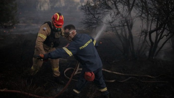 Las llamas han destruido ya 1.500 hectáreas de bosque virgen.