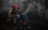 Las llamas han destruido ya 1.500 hectáreas de bosque virgen.