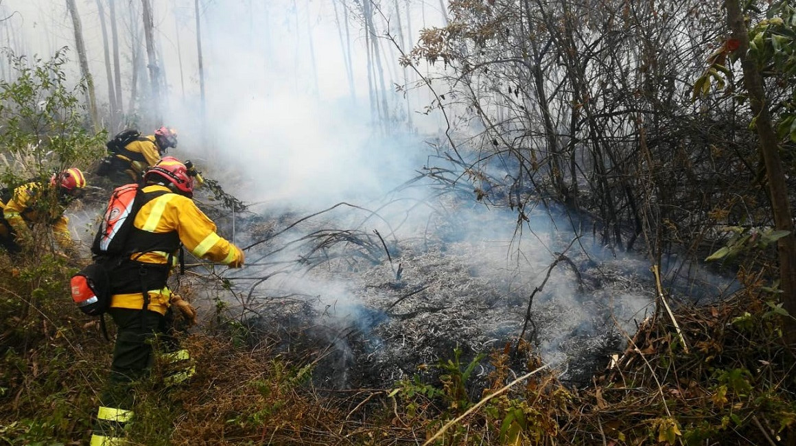 La sequía y la ola de calor extremas en Francia también han contribuido a los incendios forestales.