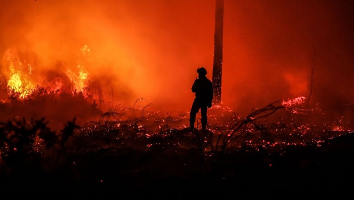 Dos incendios forestales han devastado 660 hectáreas desde el pasado martes, al sur del Jura.