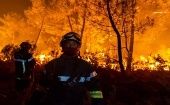 Las autoridades también reportaron que la cantidad de incendios aumentó en los últimos años, con más de 2.300 siniestros ocurridos hasta mediados de agosto.