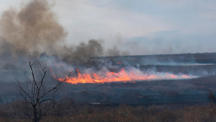 Según el Observatorio Ambiental de la Universidad Nacional de Rosario, en este mes se han quemado más de 20.000 hectáreas.