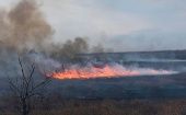 Según el Observatorio Ambiental de la Universidad Nacional de Rosario, en este mes se han quemado más de 20.000 hectáreas.