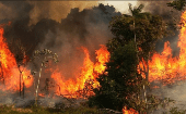 La nube de humo derivada de los incendios forestales ha afectado la calidad del aire en Manaos y otras ciudades de la Amazonia.