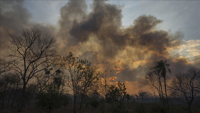 La superficie total quemada en Bolivia de enero a septiembre, ha sido de 854.723 hectáreas.