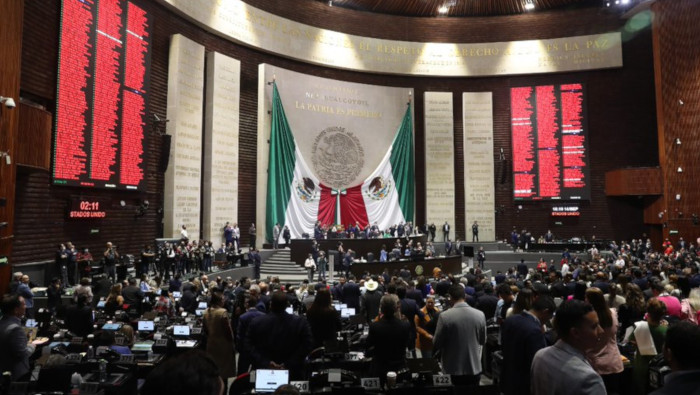 La propuesta recibió el apoyo del Movimiento de Regeneración Nacional (Morena), que respalda al presidente mexicano Andrés Manuel López Obrador.