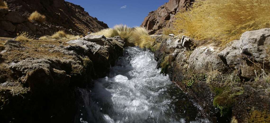 Las aguas del Silala nacen en humedales de altura llamados bofedales, localizados en el departamento boliviano de Potosí, discurren colinas abajo y atraviesan la frontera con Chile.