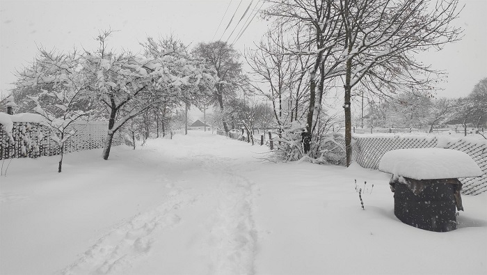 Las autoridades municipales en las zonas afectadas instaron a la población a tener cuidado durante la actividad de retiro de nieve y no trabajar solos.