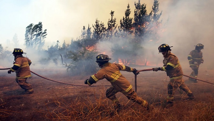 En el informe anual medioambiental, el INE aseguró que al menos 86.910 hectáreas del total tuvieron que ver con fuegos intencionales.