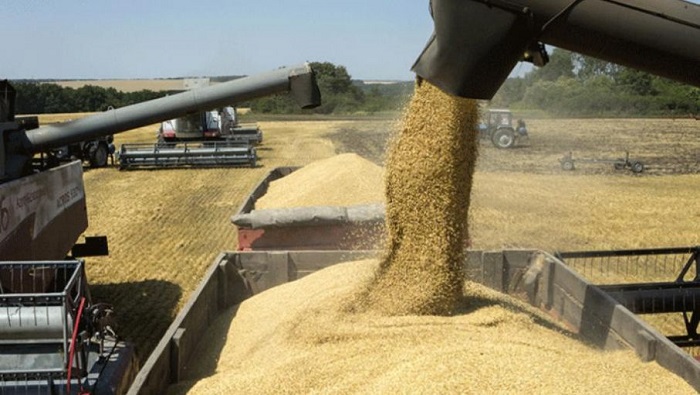La ONU insistió en la importancia de mantener el acuerdo de exportación de granos para hacer frente al hambre.