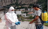 La cartera agropecuaria inició la inmunización en una granja avícola de Puéllaro, en el norte de Pichincha.