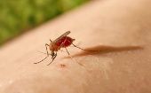 Hasta el pasado 11 de abril, el Ministerio de Salud de Costa Rica había informado que sumaban un total de 105 casos de malaria en la referida región.