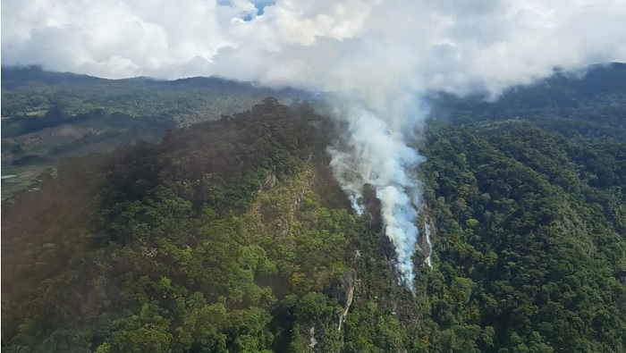 El incendio en Cerro Punta fue reportado por residentes de la zona el miércoles pasado; informaron por medio de redes sociales sobre la quema en esa área de bosque.